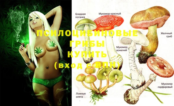 MESCALINE Алзамай
