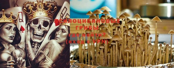 PSILOCYBIN Надым