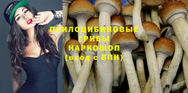 спиды Алексеевка